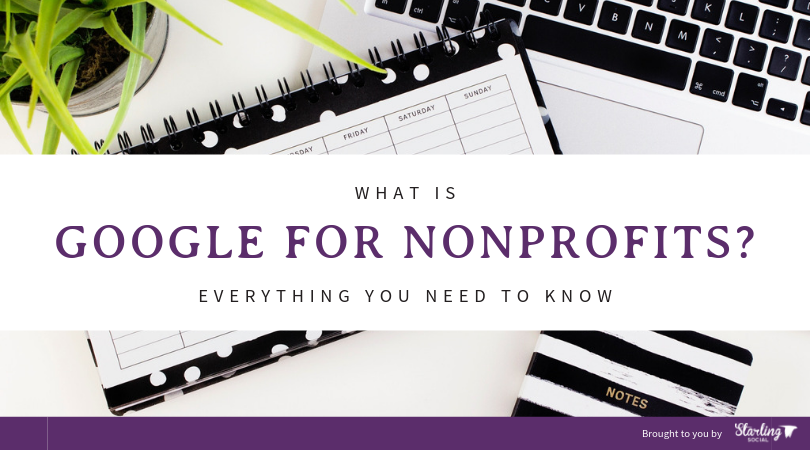 Starling Social What Is Google For Nonprofits Everything You Need To starling-social-what-is-google-for-nonprofits-everything-you-need-to